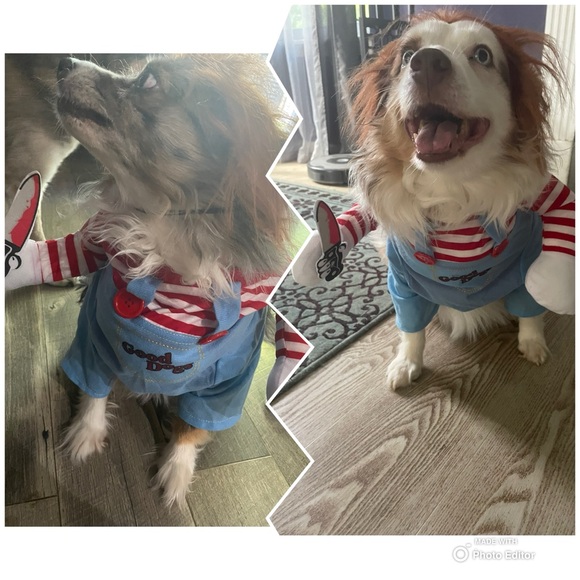 Chucky Good Dog Halloween Costume Size Medium - Picture 1 of 4